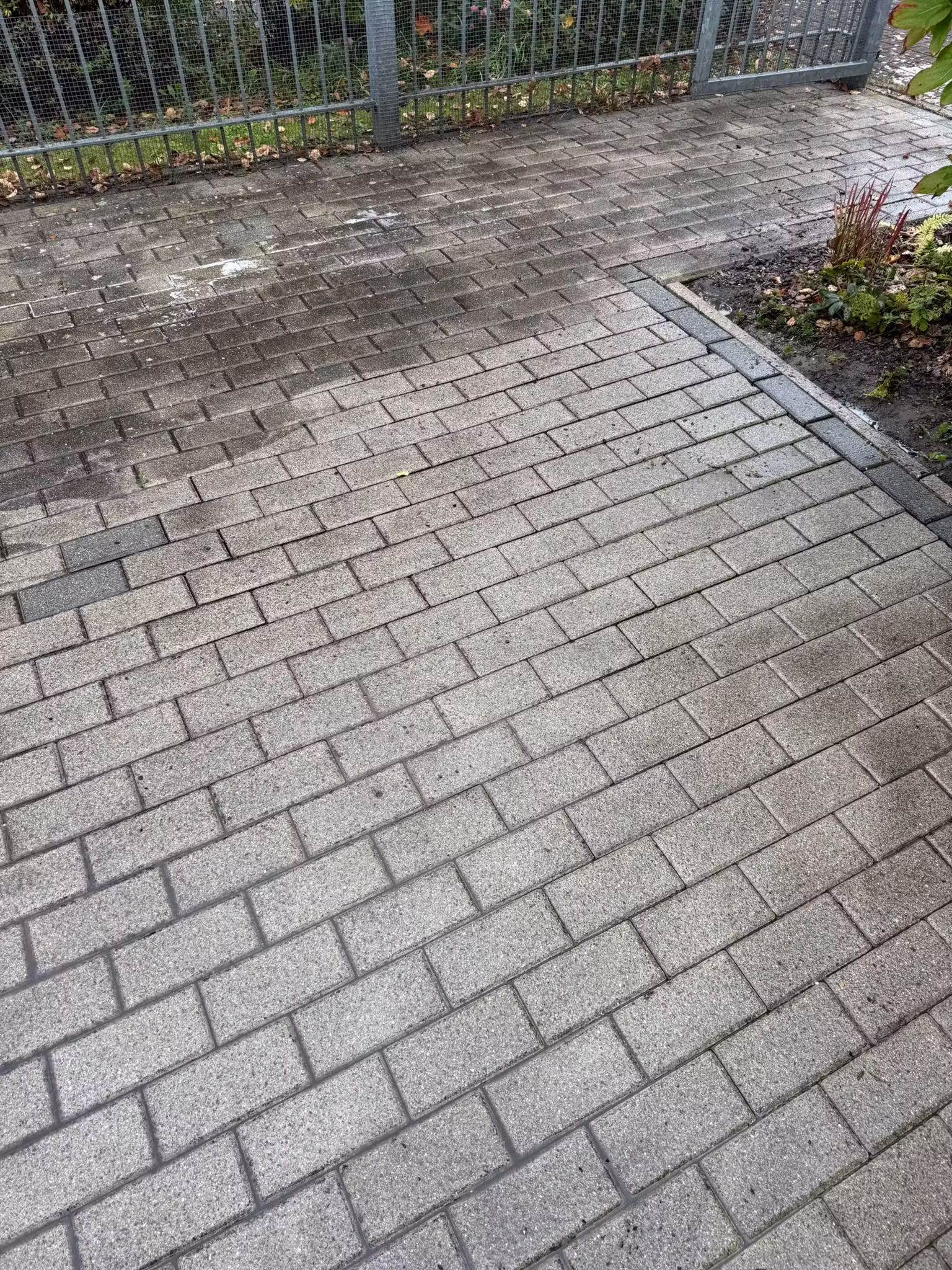 Pflasterfläche mit sichtbarer Reinigungslinie nach Steinreinigung